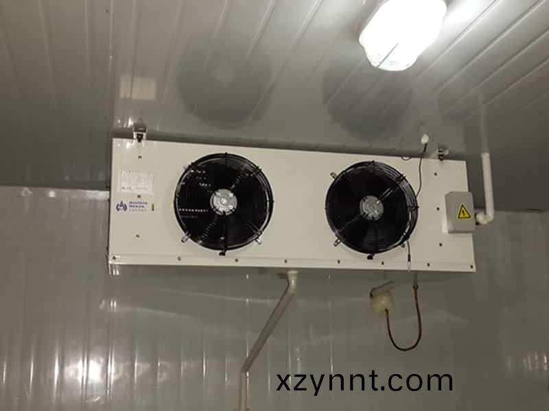 醫藥(Medicine)公司1