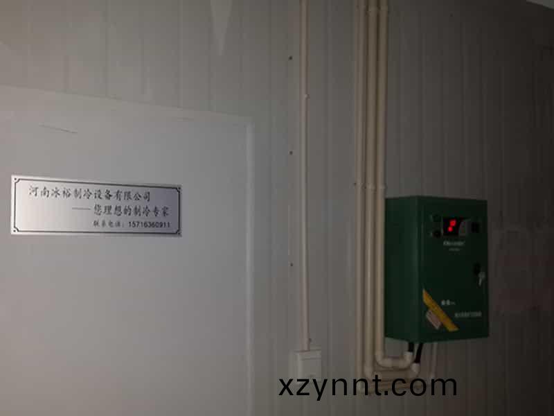 醫藥(Medicine)公司2