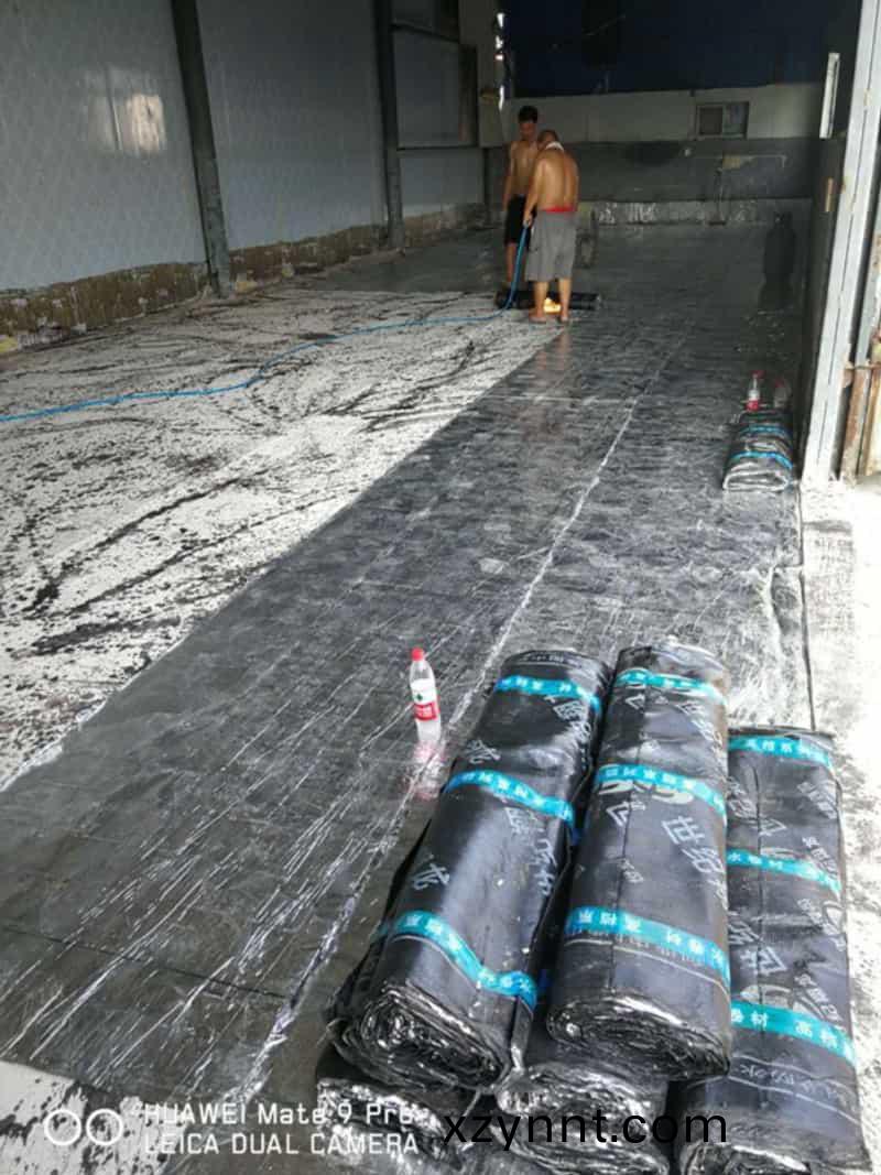 低(low)溫庫(kù)SBS防水(water)施工中(middle)