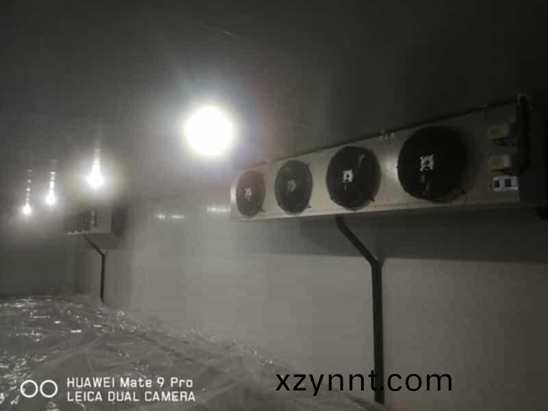 江西低(low)溫庫