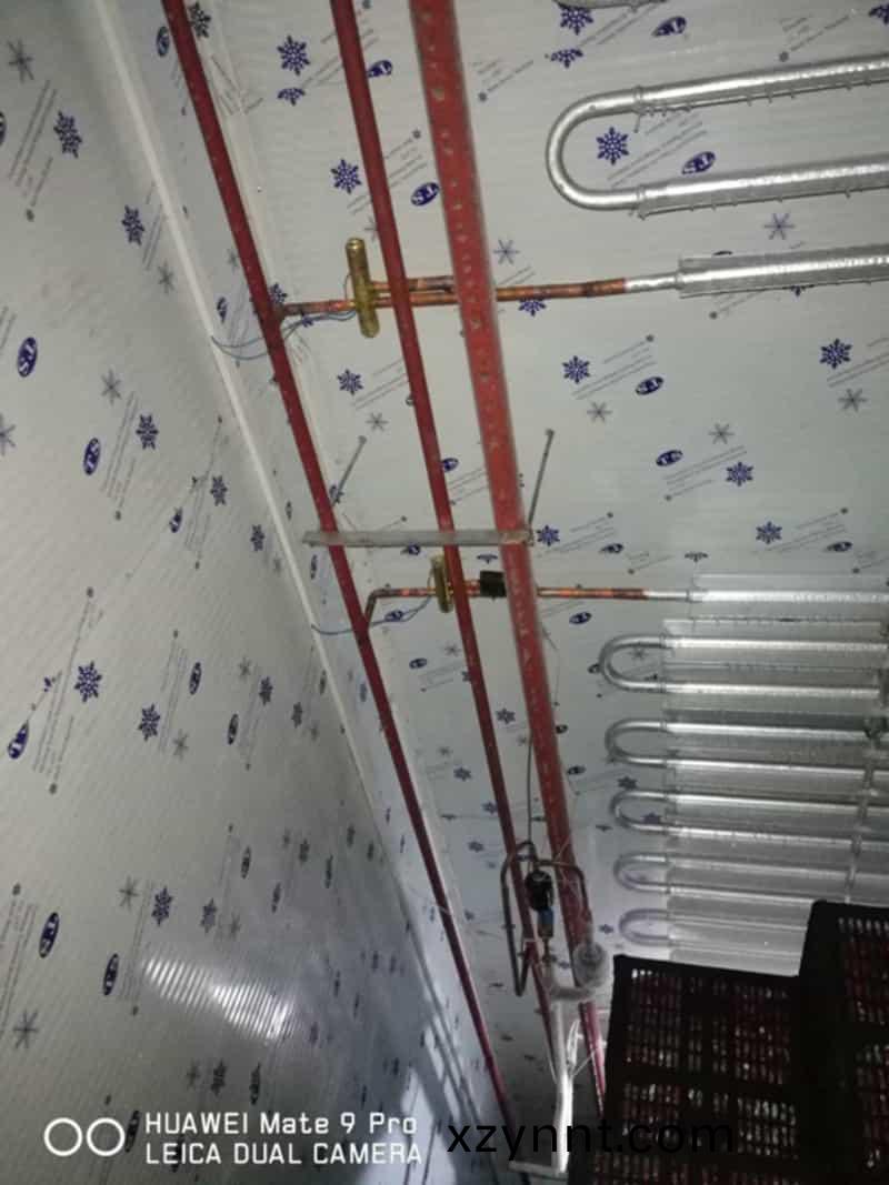 熱(hot)氟化霜(Frost)筦道