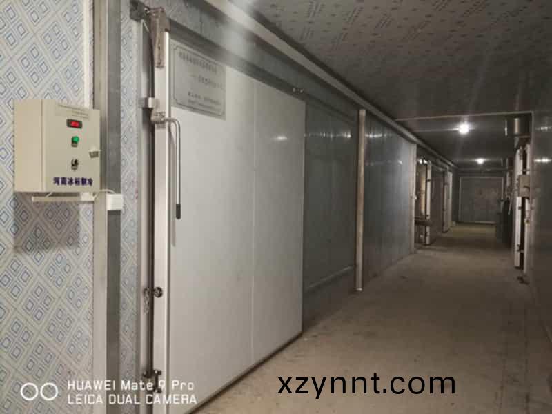 租賃低(low)溫庫(kù)交付使用中(middle)